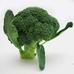 蔬菜名称:【燎原特惠】西兰花绿花菜绿色种植绿色无公害蔬菜新鲜青菜顺丰
